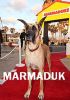 Marmaduk