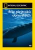 Říše plejtváků obrovských