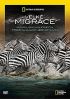 Velké migrace (3DVD)