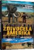 Zdivočelá Amerika 2DVD